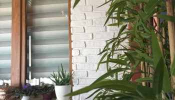 Restaurant & Cafe