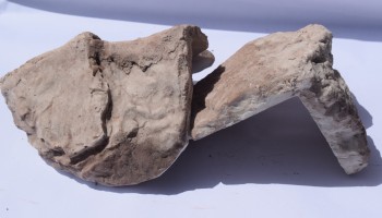 Tarla Taşı
