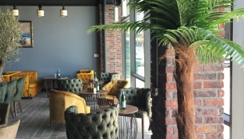 Restaurant & Cafe